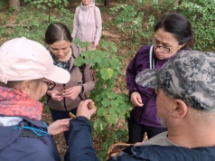 Trzeba poznać 72 gatunki w trzy dni. Ogólnopolski kurs na klasyfikatora grzybów w Koronowie [zdjęcia + wideo]