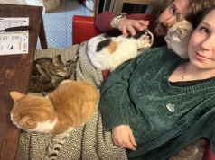 Kocia Kawiarnia kończy działalność. "Nadszedł moment który odwlekaliśmy już dosyć długo"