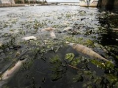 Śląskie kopalnie przez lata szkodziły rzekom. Wszystko zgodnie z prawem