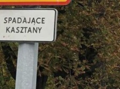 Jeszcze darmowe, ale wkrótce być może płatne. Plan na rozszerzenie stref parkingowych