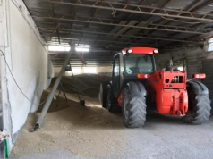 Odbijające się kursy pszenicy i kukurydzy na giełdzie MATIF, nie przynoszą podwyżek cen zbóż w kraju