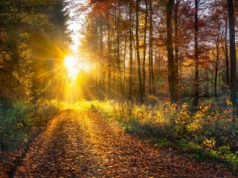 Prognoza pogody 19-25 września 2025