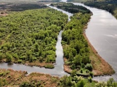 Park Narodowy Doliny Dolnej Odry może powstać jeszcze w tym roku. Ustawą zajmie się Sejm