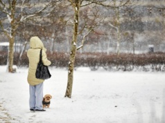 Kiedy pojawi się pierwszy śnieg? Synoptycy mają pierwsze prognozy na zimę