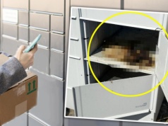 Martwy kot znaleziony w paczkomacie. Policja bada dwie wersje