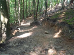 Przyłącz się do likwidacji nielegalnych ścieżek rowerowych. Leśnicy walczą z samowolką