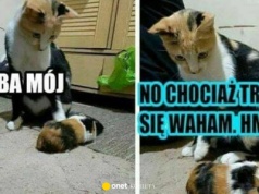 Masz w domu przedszkolaka? Zrozumiesz. Oto najlepsze memy na Ogólnopolski Dzień Przedszkolaka