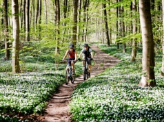 Rowerzyści zapominają o tych przepisach. Sypią się mandaty. Kary dochodzą do 5 tys. złotych