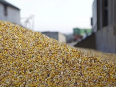 Mercosur bez zgody Polski? Umowę przyjmie Rada UE, nie Rada Europejska