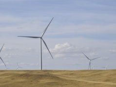 Państwo musi mieć kontrolę nad sieciami energetycznymi. Widać jednak słabe punkty