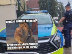 Rzeszów: policjant zawiódł zaufanie dilera, który proponował mu zioło i zwyczajnie go aresztował