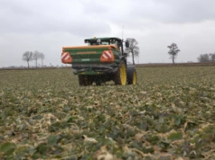 Ile azotu pod zboża, bobowate i oleiste? Maksymalne dawki do planu nawożenia