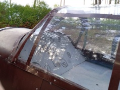 Łoś z dłutowskiego lasu odnowiony [ZDJĘCIA]