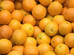 Pomarańcze z pępkiem i bez. Tylko jedna z nich jest najsłodsza