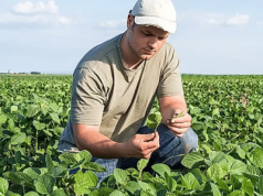 Monopolizacja rolnictwa: Garstka korporacji kontroluje nakłady i produkcję amerykańskich rolników