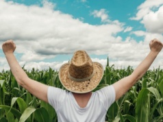 Nastąpiła wyraźna poprawa koniunktury rolnej. Tak twierdzą ekonomiści