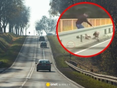 Chłopiec uciekł rodzicom. Było o krok od tragedii [WIDEO]