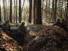Grzybiarz czy szpieg? Incydent na poligonie w Niemczech