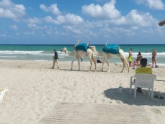 W Europie po sezonie, a tu wakacje w pełni. To najlepszy czas, by odwiedzić "Baśniową Oazę"