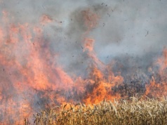 Pożary podczas żniw 2025 — doszło do 5740 zdarzeń!