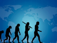 Dobór naturalny czy kultura? Naukowcy odkryli, jak działa ewolucja