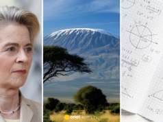 Na jakim etapie edukacji jest twoja wiedza? Podstawówka, liceum czy studia?