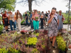Jesień za rogiem, ale szczecinianie pamiętają o swoich ogrodach [ZDJĘCIA]