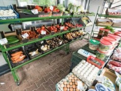 "Przysmak jesieni" pojawił się na targowiskach. Ceny są zaporowe