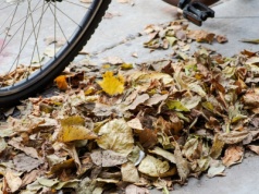 Wraca obowiązek dla właścicieli nieruchomości. Wielu nie jest tego świadomych