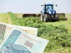 Dopłaty bezpośrednie 2025. Ile średnio na hektar dostanie rolnik?