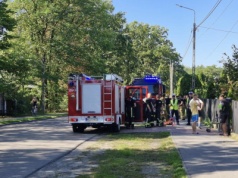 Kolarze zderzyli się ze stadem dzików. Na miejscu straż pożarna i pogotowie