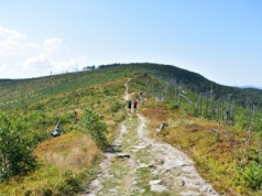 Jeden z najpiękniejszych jesiennych szlaków. Poradzą sobie nawet amatorzy