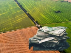 Ile dziś kosztuje ziemia rolna w Polsce? Ceny gruntów wg województw 2025