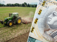 KOWR wydzierżawi 128-ha pole w jednym kawałku. Doskonała gleba, ale jest haczyk