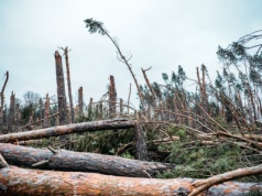 Zerwane dachy i powyrywane drzewa - tornado w Polsce uderza z dużą siłą
