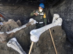 Gigantyczne znalezisko w Meksyku przebija słynne La Brea Tar Pits. Naukowcy odkopali ponad 50 tysięcy kości