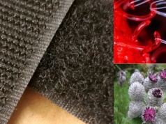 Rzep, pajęczyna i stopy gekona. Jak natura zmienia technologię