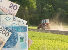 Nawet 120 tys. zł dla małych gospodarstw – wnioski od 1 października
