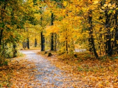 Na spacer i na wycieczkę rowerową. To miejsce jesienią zachwyca