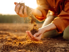 30 proc. niedoboru siły roboczej w rolnictwie. Czy to już kryzys?