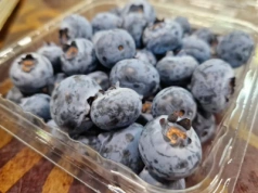 Egipt zwiększa produkcję borówek. Wielka Brytania głównym kierunkiem ich eksportu