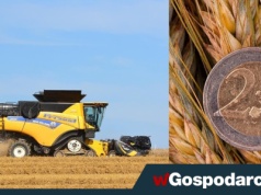 Ponad 24 mld euro dla rolników. Dużo czy mało?