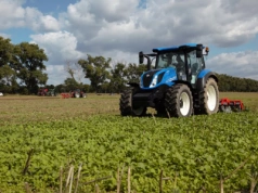 Nabór wniosków rusza już niebawem! Dla kogo pomoc na Rozwój małych gospodarstw?