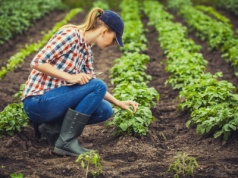 Stereotyp męskiej wsi odchodzi do lamusa. Tak Polki prowadzą gospodarstwa rolne