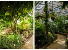 Warszawa, a jednak... egzotycznie. Na ten spacer nie trzeba daleko jechać