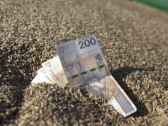 Producenci zbóż apelują do prezydenta. Chcą wyższych cen skupu