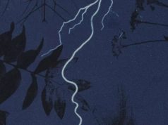 Epizod z życia malarza podróżnika - recenzja książki