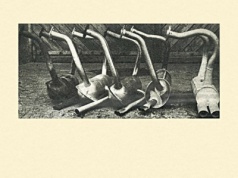 Test i porównanie tłumików do Fiata 126p | „Motor” 17/1990