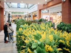 „Domowa Dżungla”. Wydarzenie już w piątek i sobotę