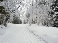 Ważna atrakcja na Podhalu ogrodzona. "Swojego nie oddam"
